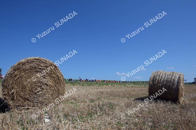 Peloton004p.jpg